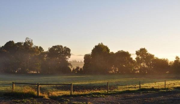Tallawarra Homestead Tonimbuc Εξωτερικό φωτογραφία
