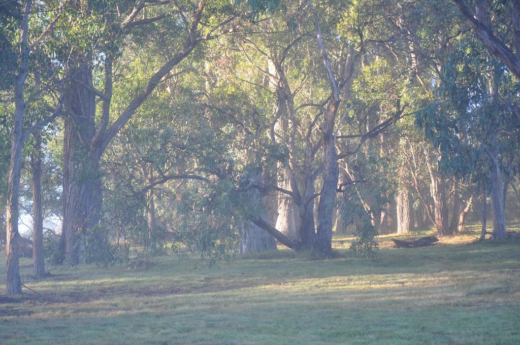 Tallawarra Homestead Tonimbuc Εξωτερικό φωτογραφία